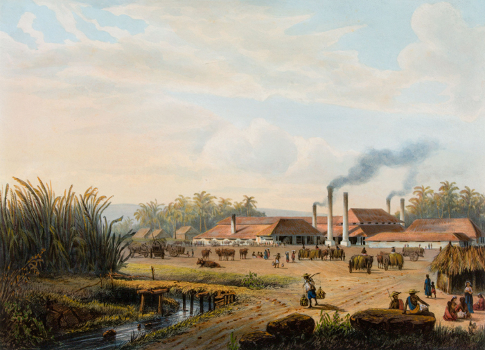 Een suikerfabriek, 1865-1872